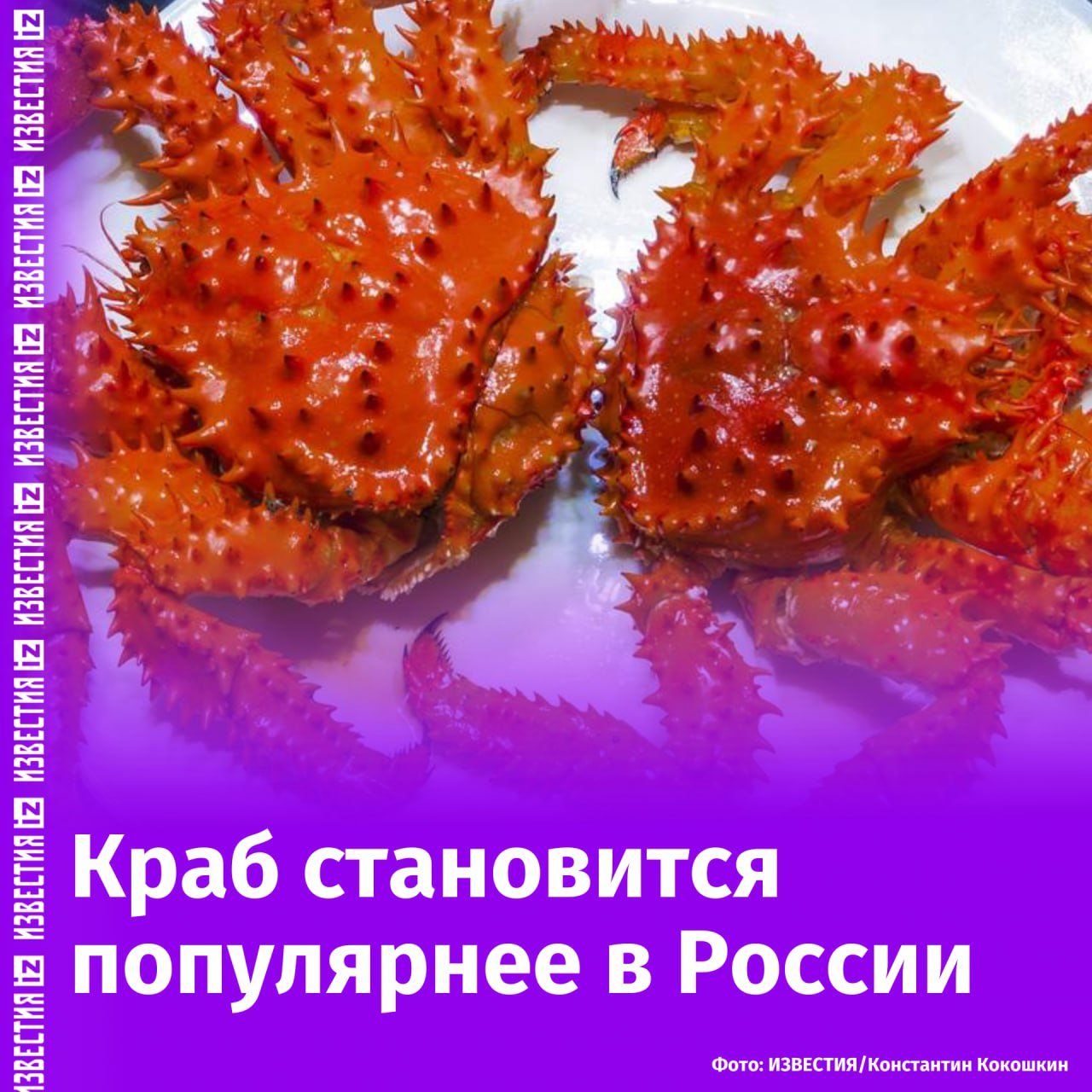 Россияне "распробовали" краба — поставки на внутренний рынок России в 2024 году достигли почти 8 тысяч тонн.   Прирост составил около 20%, рассказали "Известиям" во Всероссийской ассоциации рыбохозяйственных предприятий. Это связано с тем, что краб перестает быть "диковинкой" для обеспеченных граждан.   По словам директора ВАРПЭ, в России формируется культура потребления краба. В частности, благодаря усилиям рыбаков, ретейла и ресторанного сектора. Рестораторы фокусируются на расширении "крабового" меню, чтобы заменить импортные дорогие морские деликатесы.   Однако о сформировавшемся внутреннем рынке продукта в рознице пока говорить рано, сказал "Известиям" директор по аналитике NTech. Однако Россия остается мировым лидером по добыче премиальных видов краба.       Отправить новость