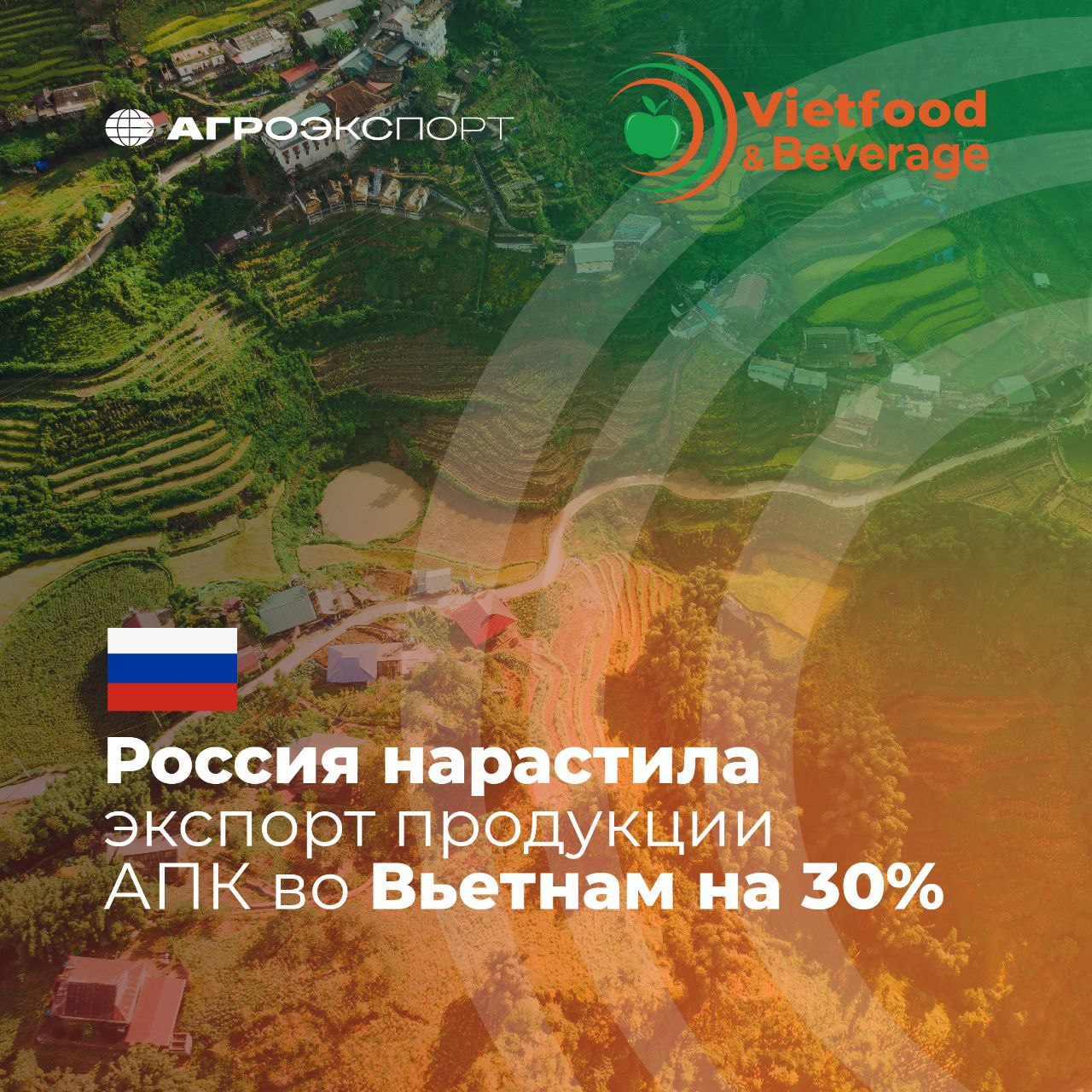 Россия нарастила экспорт продукции АПК во Вьетнам на 30%  Согласно оценкам экспертов, за 7 месяцев 2025 года Россия экспортировала во Вьетнам около 170 тыс. тонн продукции АПК на более чем 200 млн долл. США.   «Вьетнам — важный партнер России в торговле продукцией АПК. По итогам 7 месяцев текущего года российский аграрный экспорт в эту страну вырос на 30%. Российские компании видят большой потенциал в дальнейшем углублении торговли, выводе на вьетнамский рынок новых продуктов и готовы знакомить с ними импортеров и потребителей», – отметил Илья Ильюшин.    Драйвером роста российского экспорта продукции АПК в денежном выражении стали следующие позиции:    Мясная продукция  свинина, говядина, прочие виды мяса ;   Пшеница;   Детское питание.  В январе–июле 2025 года Россия экспортировала около 61 тыс. тонн свинины и пищевых субпродуктов на сумму более 146 млн долл. США. За тот же период 2024 года объем поставок составил порядка 44 тыс. тонн свинины на 79 млн долл. США. Таким образом, рост в деньгах составил 84%.    Второе место по выручке среди продукции АПК занимает пшеница. В январе–июле 2025 года Россия поставила во Вьетнам более 89 тыс. тонн пшеницы на сумму около 19 млн долл. США. Ввоз российской пшеничной клейковины во Вьетнам начался в 2024 году; за январь–июль 2025 года было поставлено уже больше, чем за весь прошлый год — более 250 тонн на более 250 тыс. долл. США.  #агроэкспорт #новостиАПК