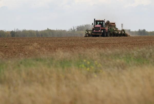 Бразилия возобновила закупки российской пшеницы В январе республика впервые с конца 2024 года приобрела зерна почти на 11 млн долларов В последний раз закупки проводились в декабре на сумму 1 1 млн долларов сообщает РИА Новости со ссылкой на данные бразильской статслужбы По итогам января этого года Бразилия импортировала пшеницу лишь из четырёх стран Крупнейшим поставщиком стала Аргентина затем следуют Уругвай и Парагвай Подписаться на Говорит Москва Telegram VK MAX