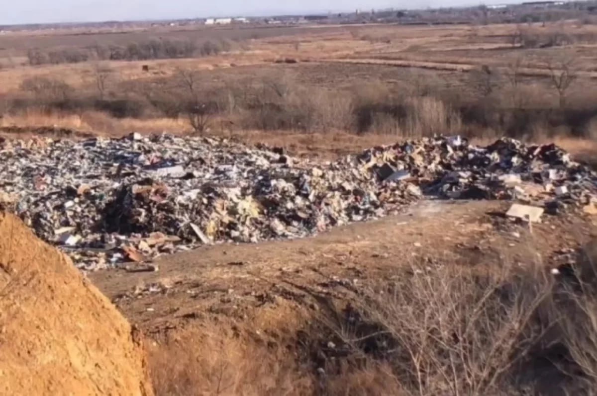 В Приморском крае возбуждено уголовное дело из-за ущерба экосистеме заказника «Полтавский» на сумму более 387 млн рублей      По сообщению Telegram-канала Владивостокской межрайонной природоохранной прокуратуры, на территории заказника обнаружено незаконное складирование бытовых отходов      Мусор, вывезенный некой организацией, занял площадь более 18 гектаров      Возбуждено уголовное дело по ст. 262 УК РФ за нарушение режима особо охраняемых природных территорий      Заказник «Полтавский» создан для сохранения популяции охотничьих животных и редких видов флоры и фауны    Подробнее