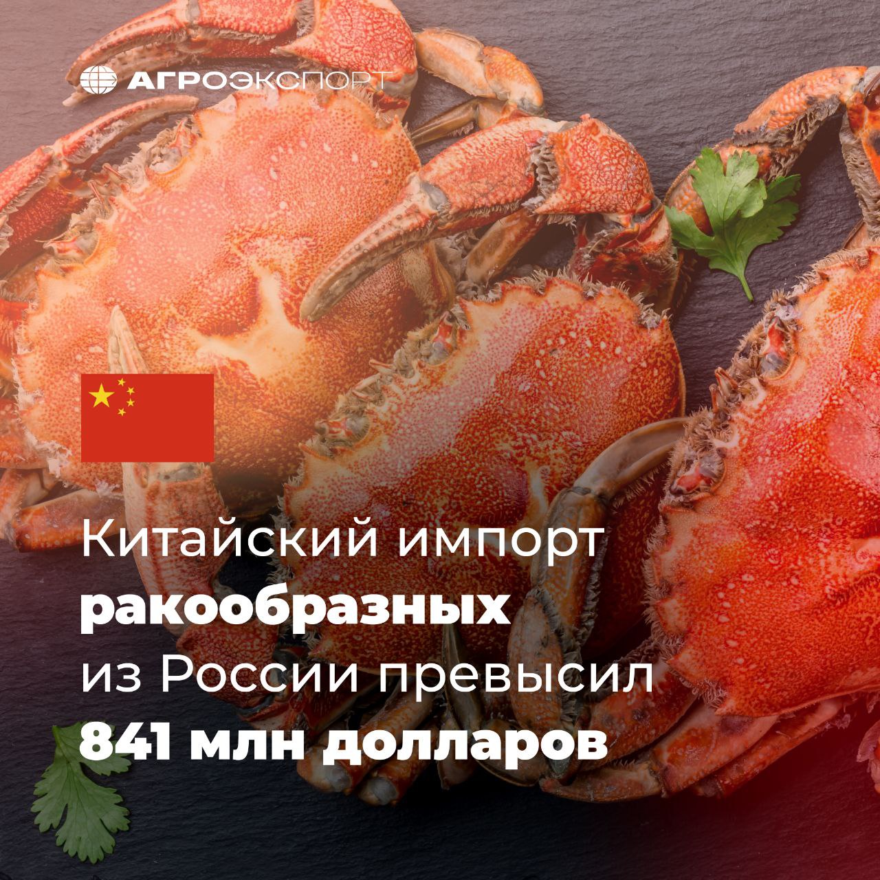 Китайский импорт ракообразных из России превысил 841 млн долларов Согласно данным ГТУ КНР за период январь сентябрь Китай импортировал из России 35 тыс тонн ракообразных на 841 млн долл США В сравнении с аналогичным периодом прошлого года объем поставок вырос на 7 в натуральном выражении В топ 3 видов ракообразных в деньгах входят Живые свежие или охлажденные крабы более 723 млн долл США Замороженные крабы более 56 млн долл США Мороженые глубоководные креветки и пильчатые креветки более 54 млн долл США Россия в 2025 году находится на 2 месте в списке стран экспортеров ракообразных в Китай в стоимостном выражении Так на 3 месте расположился Вьетнам 734 млн долл США а на 1 месте Эквадор 2 4 млрд долл США агроэкспорт новостиАПК