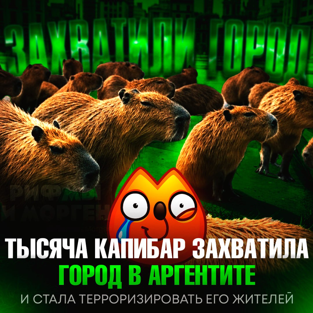 КАПИБАРЫ ЗАХВАТИЛИ ГОРОД В АРГЕНТИНЕ! Тысяча грызунов стала терроризировать жителей города Нордельта Населенный пункт построили в болотистой местности, которая является стандартным местом обитания этих животных. Трудности с ростом популяции капибар возникли после пандемии короновируса в 2020 году, когда из-за опустевших городских улиц они стали активно размножаться. Животные разоряют сады и огороды и выбегают на дороги, провоцируя ДТП. На данный момент правительство Аргентины предложило стерилизовать капибар с помощью специального препарата. — только не трогайте этих милах!!! — этот города пора спасать... Рифмы и Морген