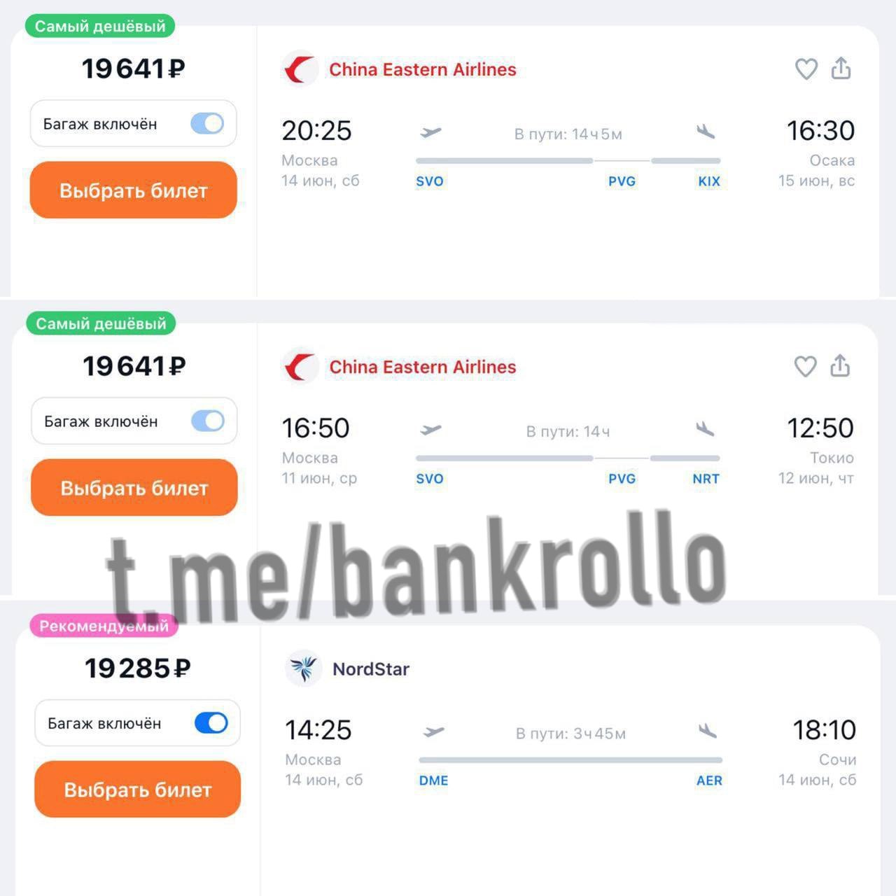 Билеты в Японию продают всего за 20 тысяч. Столько же сейчас стоит билет в Сочи.