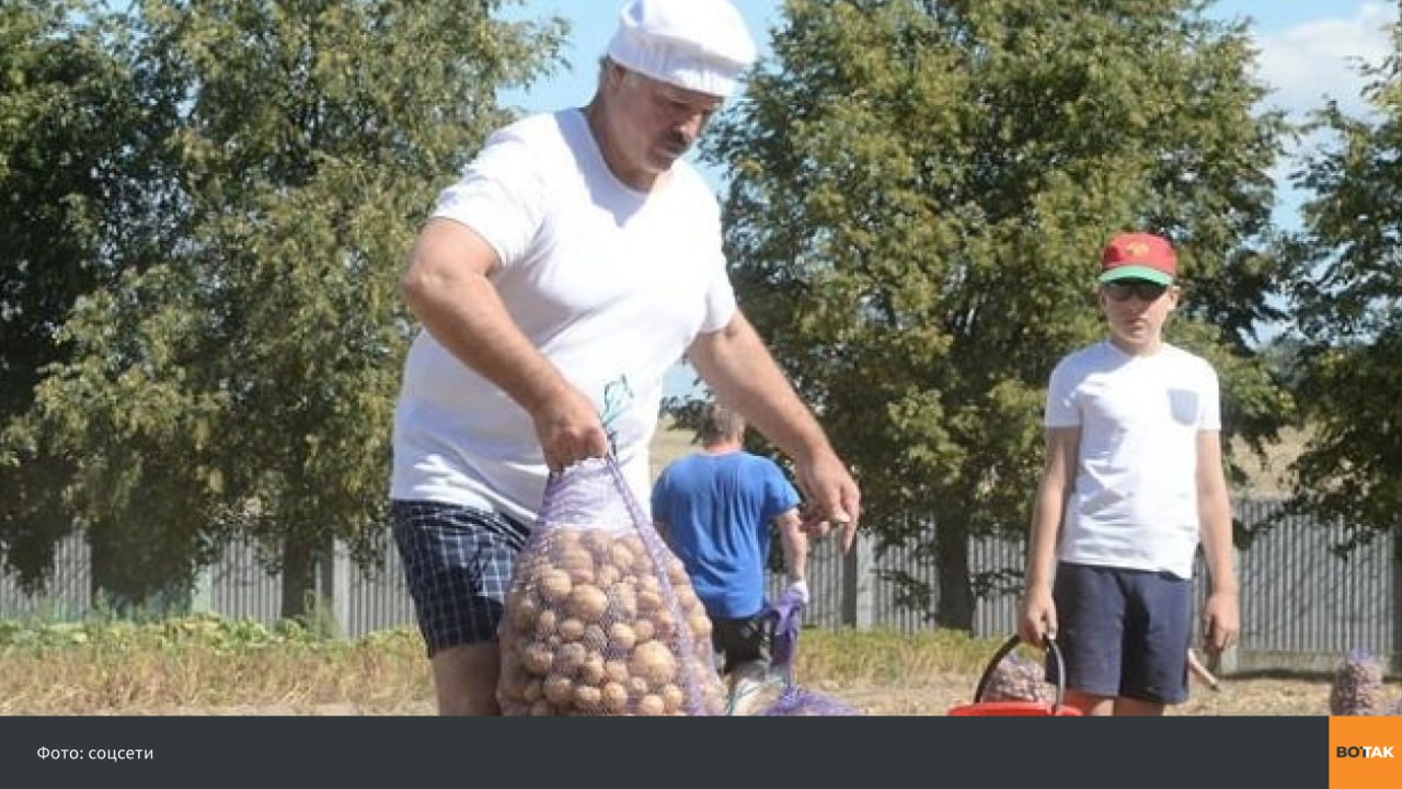Лукашенко занялся «картофельным рэкетом» — Politico Дефицит картофеля, который возник этой весной в Беларуси, напрямую связан с решением Александра Лукашенко и его администрации о введении жестких ценовых ограничений, пишет Politico. Издание отмечает, что власти свои ошибки не признают, вместо этого призывая граждан доносить на продуктовые магазины. Для борьбы с дефицитом картофеля Лукашенко в декабре 2024 года запретил его экспорт в Россию. Однако именно российский рынок привлекателен для беларусских производителей — в РФ картофель стоит примерно вдвое дороже, чем в соседнем государстве. В итоге фермеры в Беларуси продают в РФ качественный картофель, выдавая его за испорченный. А на прилавки в своей стране отправляют продукт низшего качества. «Лукашенко и его администрация могут искусственно создавать дефицит товаров, который раньше был в огромном количестве», — сказал Алесь Алехнович, экономический советник лидера беларусской оппозиции Светланы Тихановской. Чтобы стимулировать фермеров выращивать больше и продавать на внутреннем рынке, чиновники подняли максимальную цену на обычный картофель в апреле. А в мае разрешили импорт из «недружественных» стран ЕС. Комитет государственного контроля Беларуси начал проводить проверки торговых сетей. «Часть стратегии заключается в том, чтобы просто преследовать все эти торговые сети в надежде, что они будут так бояться тюрьмы, что придумают картошку из чистого воздуха», — сказал беларусский экономист Лев Львовский. Подписывайтесь на «Вот Так» Связаться с редакцией