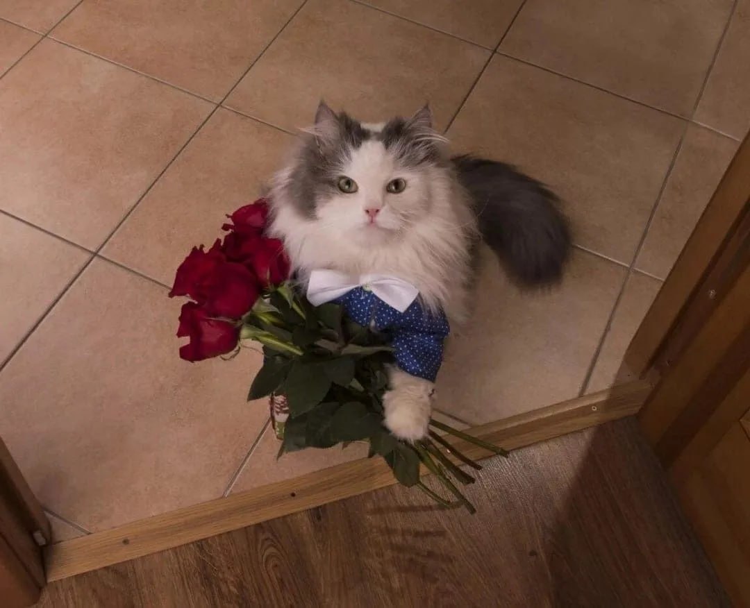 В Поронайске мужчина украл 16 роз ради девушки В Поронайске полиция раскрыла необычную кражу из цветочного магазина исчез букет из 16 роз Как выяснилось 25 летний романтик не рассчитал с бюджетом пока продавец отвлёкся он схватил букет и сбежал чтобы подарить цветы возлюбленной Цветы возможно впечатлили но вот правоохранителей тоже По факту кражи возбудили уголовное дело Мораль Настоящие чувства не измеряются количеством роз особенно краденых С любовью ваши острова Подписаться на нас в MAX