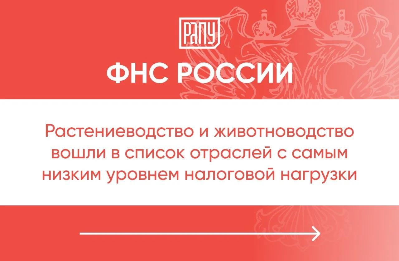 По итогам 2025 года растениеводство и животноводство вошли в список отраслей с самым низким уровнем налоговой нагрузки Такими данными поделилась Федеральная налоговая служба ФНС Согласно данным службы уровень налоговой нагрузки в растениеводстве и животноводстве составил 4 7 увеличившись за год на 0 4 процентного пункта При этом средний показатель по экономике достиг 11 9 Как пишет телеграм канал Агрономика относительно низкий уровень налоговой нагрузки в сельском хозяйстве эксперты объясняют наличием существенных государственных льгот и преференций Интересно что производство продуктов питания и напитков напротив вошло в список отраслей с наибольшей налоговой нагрузкой которая составляет здесь 18 увеличившись за год на 0 7 процентного пункта ФНС АПК экономика РАПУ в МАХ и Вконтакте