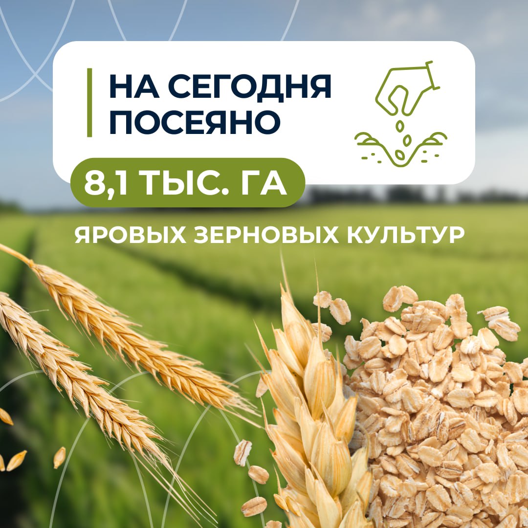 Тульские аграрии вышли в поле: в регионе стартовала весенняя посевная кампания Цели кампании были рассмотрены на еженедельном оперативном совещании регионального правительства. В Тульской области растениеводство составляет почти 60% от общего объема производства. Губернатор Дмитрий Миляев подчеркнул, что это направление активно развивается в регионе. Подробнее – в наших карточках