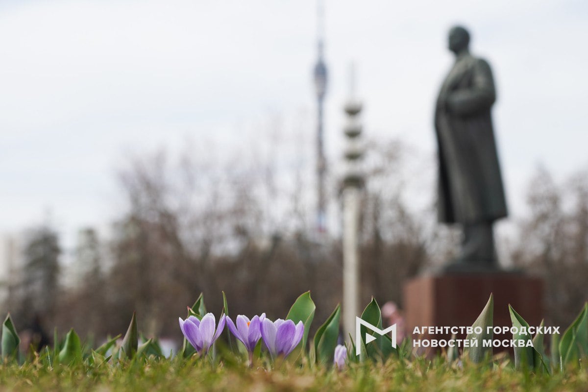 Весна может наступить в Москве раньше срока. Это связано с маленьким количеством снега – солнечная энергия будет расходоваться не на таяние сугробов, а на прогревание самой почвы, объяснил синоптик Роман Вильфанд.    «Москва»