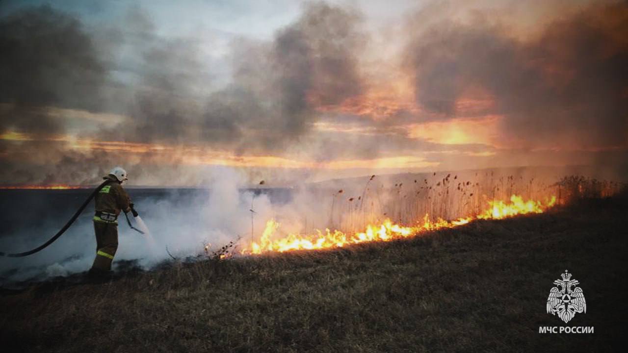 На территории ЛНР сегодня зафиксировано более 70 пожаров, большая часть из которых — на открытых территориях. Об этом сообщает ГУ МЧС России по Республике. На данный момент 10 очагов возгораний находятся в активной стадии. 583 сотрудника с помощью 142 единиц техники МЧС России прикладывают все усилия для скорейшей ликвидации огня. К сожалению, сильный порывистый усложняет работу спасателей. Наибольшая площадь горения приходится на территорию города Вахрушево в Краснолучинском округе – там дежурные караулы локализовали пожар на площади 20 га. Пламя с открытой территории перешел на частный сектор, уничтожив 11 хозпостроек и 3 нежилых дома. Жилые дома местных жителей спасателям удалось отбить от огня. Большой урон также понесла экосистема Краснодонского округа в селе Власовка – там ликвидирован пожар на открытой территории на площади 18 гектаров. Огнем поврежден 1 дом и 3 хозпостройки.