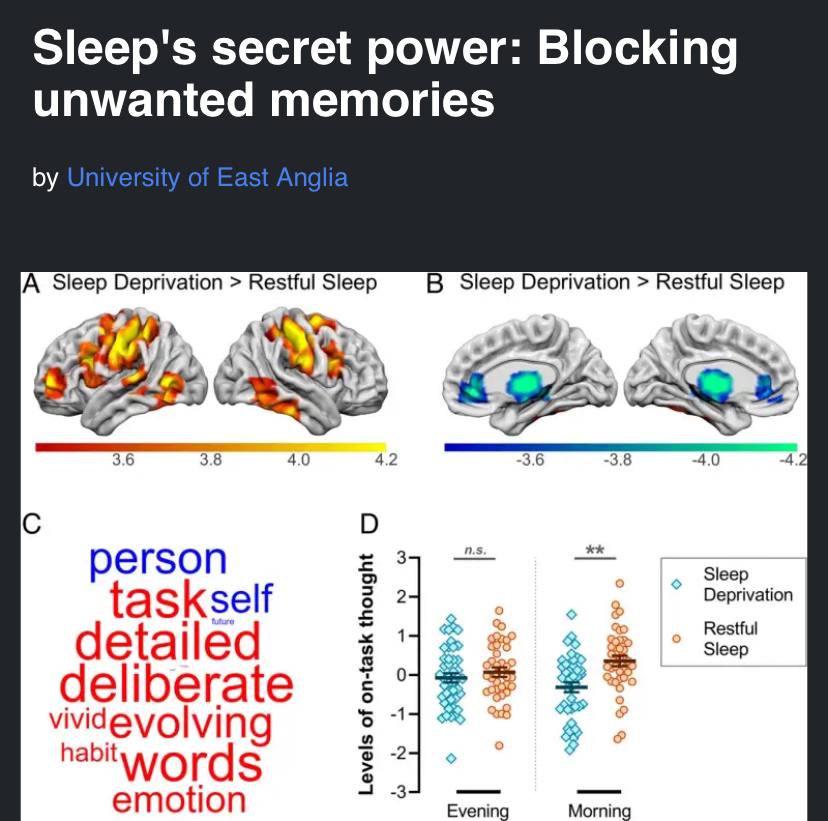 Недосып ломает ваш мозг — теперь это доказано учёными.  Исследование из Университета Восточной Англии показало, что качественный сон помогает мозгу блокировать нежелательные мысли.  Во время фазы быстрого сна  REM  активируется префронтальная кора, которая подавляет негативные воспоминания. Но если недоспать, эта зона перестаёт работать как надо — неприятные мысли начинают застревать в голове, вызывая стресс и тревожность.  Эксперимент с МРТ подтвердил: выспавшиеся участники лучше справлялись с контролем мыслей.