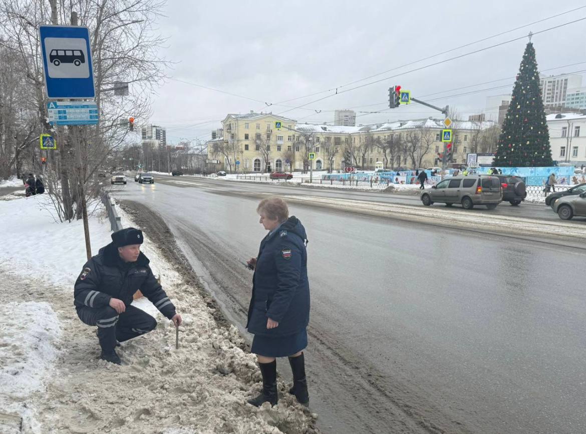 Картина неизвестного фотохудожника из надзорного ведомства: «прокурор Екатеринбурга Светлана Кузнецова и сотрудник ГИБДД фиксируют снежные валы на бортовом камне и рыхлый снег на проезжей части и тротуарах Верх-Исетского, Кировского, Октябрьского, Орджоникидзевского и Чкаловского районов города».