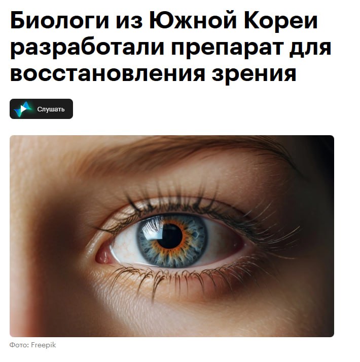 Зрение будут восстанавливать без коррекции — биологи из Южной Корее создали препарат, который запускает регенерацию сетчатки глаза. Препарат состоит из антител, которые блокируют белок prospero homeobox 1 Prox1 . Именно он мешает регенерации нервов сетчатки глаза. К В ходе испытаний эффект от блокировки Prox1 сохранялся течение 6 месяцев и более. Правда, клинические испытания на людях начнутся только в 2028 году. Очкарики прильнули к экрану Крамола Приоткрой завесу