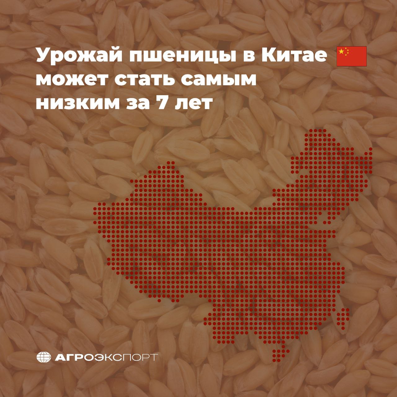 Урожай пшеницы в Китае может стать самым низким за 7 лет Производство пшеницы в Китае может упасть на 5% в этом году и достичь самого низкого уровня с 2018 года после недавней засухи в ключевых регионах выращивания. Трейдеры и аналитики прогнозируют, что крупнейший в мире производитель и потребитель зерна соберет от 133 до 135 млн тонн в 2025 году. Это будет существенным снижением по сравнению с прошлогодним рекордным валовым сбором в 140 млн тонн. И хотя влияние на рынок смягчат высокие запасы и относительно слабый внутренний спрос, сокращение внутреннего производства может вынудить страну увеличить импорт. За первые четыре месяца года поставки пшеницы в КНР из-за рубежа были на семилетнем минимуме за этот период — чуть более 1 млн тонн. Bloomberg #агроэкспорт #новостиАПК