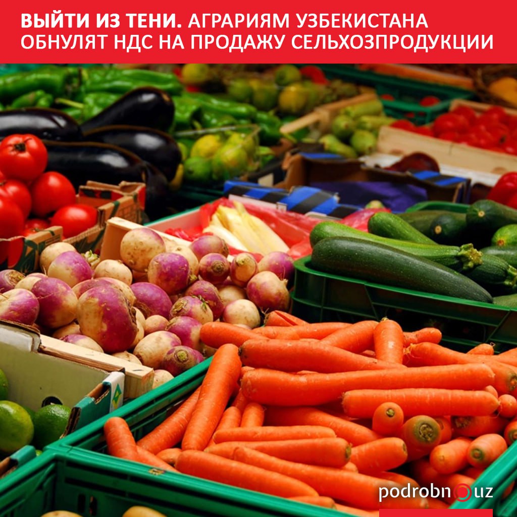 Со следующего года для фермеров и дехкан при продаже собственной продукции налог на добавленную стоимость будет применяться по нулевой ставке Сегодня он составляет 12 Льгота распространится на фрукты овощи мясо молоко яйца и другие сельхозпродукты за исключением хлопка и зерна podrobno uz cat economic vyyti iz teni agrariyam uzbekistana obnulyat nds na prodazhu selkhozproduktsii Telegram Instagram Facebook Читать на узбекском