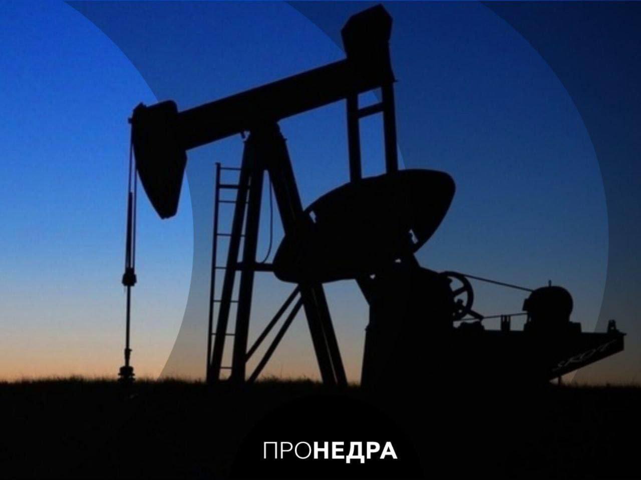 Новая ценовая война приведет к снижению цен на нефть до $40-50 за баррель  О этом говорится в докладе «Росконгресса» «Новая ценовая война на рынке нефти: геология, геополитика и финансы».  «В 2025–2026 годах ожидается ценовая война на рынке нефти, вызванная разногласиями в ОПЕК+, ростом добычи в США и геополитической нестабильностью. Это приведет к падению цен до 40–50 долларов за баррель нефти Brent», – говорится в докладе.  По прогнозу экспертов, ценовая война продлится несколько месяцев.    Пронедра/Подписывайся