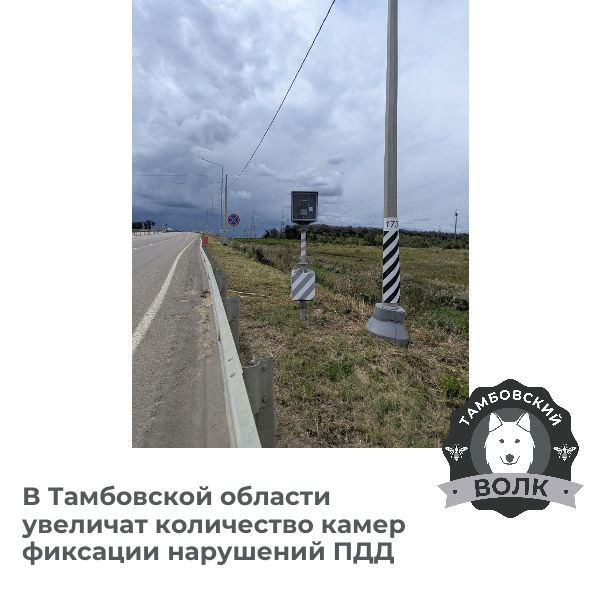 В Тамбовской области установят 220 камер фиксации нарушений ПДД К концу года количество камер на дорогах региона увеличится: 40 передвижных радаров, 16 мобильных комплексов на авто, 37 стационарных камер фиксируют скорость, ремни безопасности, проезд на красный и др. Уже в августе добавят 16 стационарных камер и 4 мобильных комплекса. Тамбовский волк