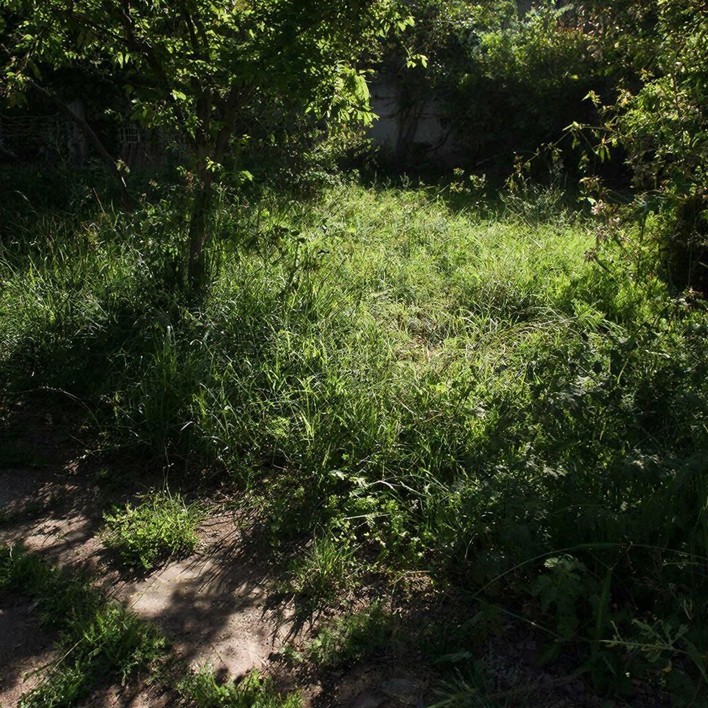 Почти 22 тысячи человек получили дальневосточный гектар в прошлом году В 2025 году 21 6 тысячи человек получили бесплатные земельные участки по программе Гектар Это на 24 больше чем в 2024 году 17 4 тыс В общей сложности в 2025 году заявителям было предоставлено почти 19 тыс земельных участков площадью свыше 13 тыс гектаров территория сопоставимая по размеру со средним российским городом Основной спрос на бесплатную землю традиционно сосредоточен на Дальнем Востоке здесь оформлено 85 всех участков ещё 15 пришлось на Арктическую зону РФ Лидером по количеству предоставленных участков в 2025 году впервые стала Республика Саха Якутия где гражданам передано 6 343 участка В структуре ДФО на Якутию пришлось 37 всех предоставленных гектаров на Приморский край 23 Амурскую область 7 Хабаровский край 5 остальные регионы округа суммарно обеспечили 14