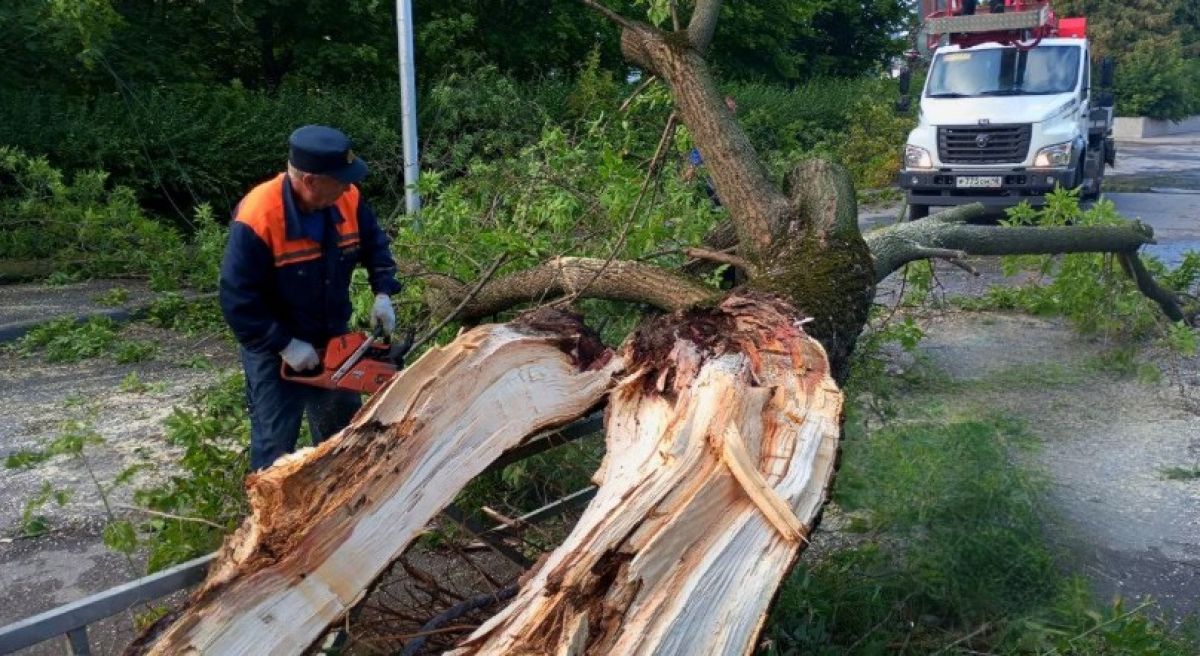 Липецкие спасатели 13 раз за сутки выезжали на ЧП с упавшими деревьями Разыгравшийся ветер 13 раз за минувшие сутки побуждал липецких спасателей к оперативным выездам. Из-за непогоды деревья валило как щепки на улицах: Интернациональная, Военный городок, Коммунальная, Липовская, Толстого, Водопьянова, площадь Мира, Вавилова, Московская, площадь Константинова, Ангарская и Горького. ↗ Прислать новость Подписаться