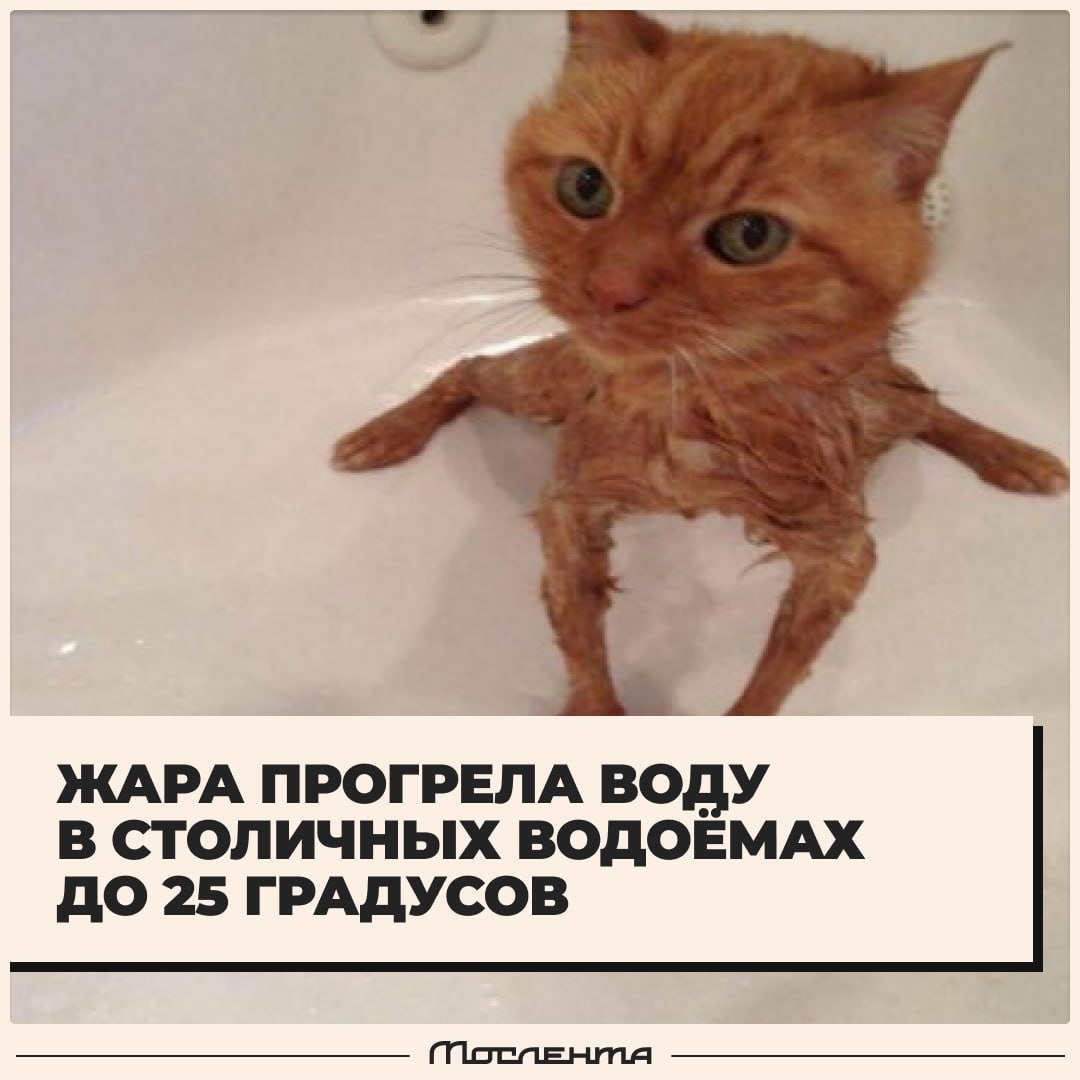 Жара накалила не только столицу, но и воду в местных водоёмах. В некоторых из них она прогрелась до 20-25 градусов. Самая тёплая сейчас Ока возле Коломны — её температура в районе 26 градусов. А вот Москва-река не такая «горячая», в ней всего 22-23 градуса. Средняя температура стоячих водоёмов сейчас около 23-24 градусов. Но какой бы тёплой и притягательной не была вода, хотим напомнить, что купаться в этом году можно лишь в 4 зонах отдыха