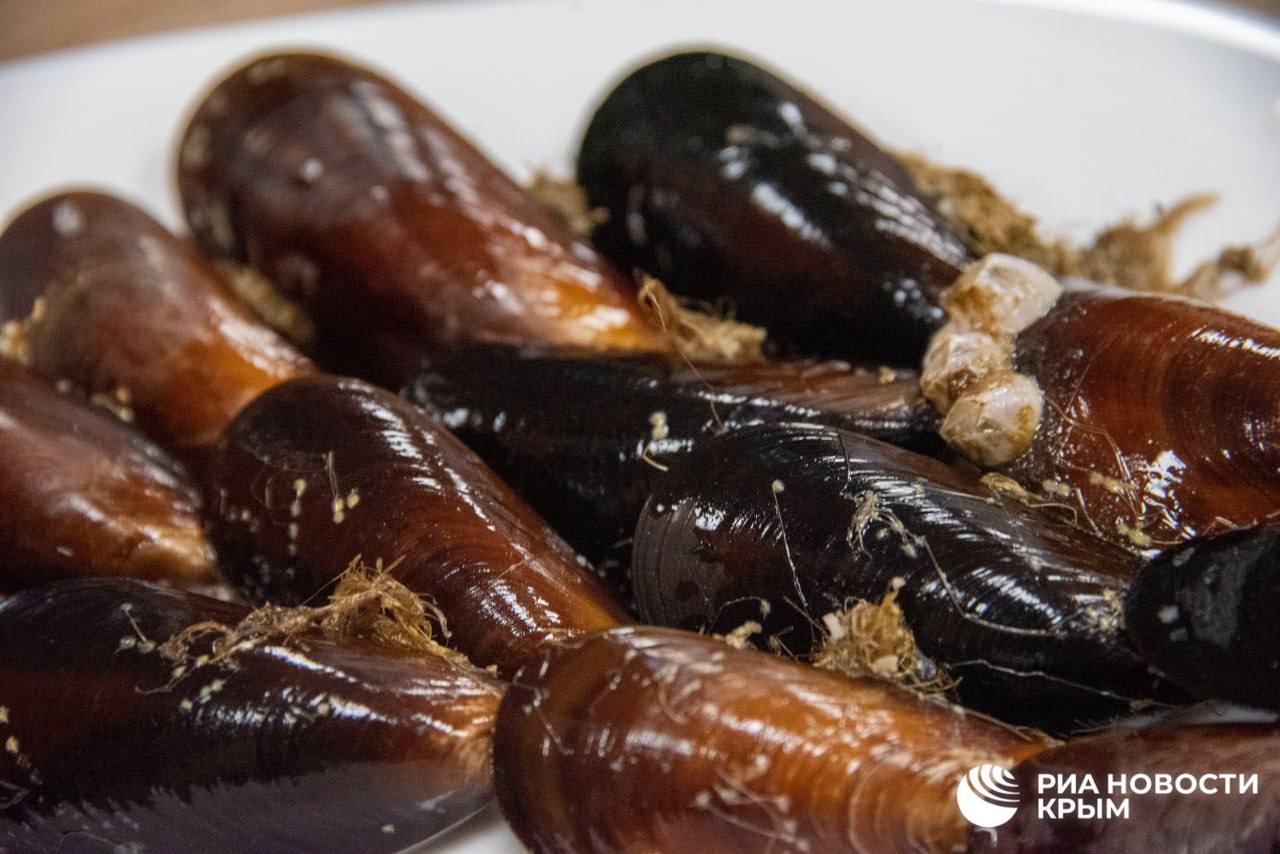 Аферисты перед Новым годом создают фейковые интернет магазины с икрой и морепродуктами Об этом РИА Новости рассказал член комитета Госдумы по промышленности и торговле Игорь Антропенко Из за популярности онлайн торговли мошенникам не составляет труда поймать на такую удочку покупателя который привык заказывать через интернет и хочет сэкономить Надежнее покупать продукты в проверенных местах на сайтах известных магазинов и маркетплейсов 0   Подписаться на РИА Новости Крым в Telegram MAX VK