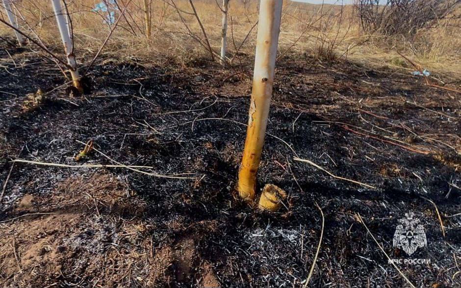 Жителя Джидинского района обязали выплатить 670 тысяч рублей за лесной пожар, вспыхнувший по его вине. Мужчина проводил на землях сельхозназначения так называемый родовой обряд и оставил там тлеющие благовония. В итоге огонь перекинулся на лес…