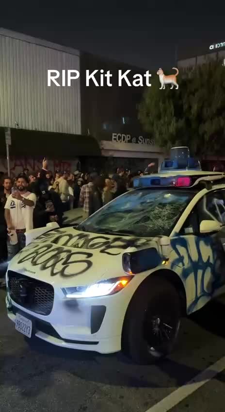 Смерть кота KitKat вызывает протесты против беспилотников Waymo в Сан Франциско