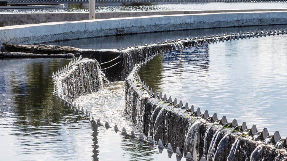 В Ростовской области ухудшилось качество воды в реке Дон.  Ростовский Водоканал сообщил о сезонном ухудшении качества воды в реке Дон.   Вода приобрела неприятный рыбный и болотистый запах из-за летучих органических веществ.  Чтобы решить проблему, в процессе водоподготовки начали использовать дополнительный реагент — активированный уголь, который «собирает» вещества, вызывающие запах.   Также проводится плановая промывка водопроводных сетей в разных районах города, чтобы удалить отложения из труб.  Вопрос качества воды находится под контролем Роспотребнадзора, администрации города и водоснабжающей организации.