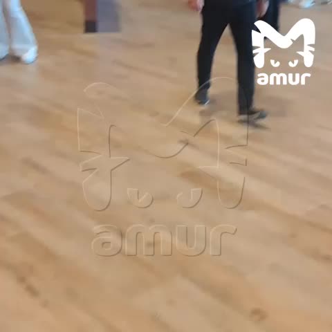 Землетрясение в аэропорту Камчатки: эвакуация пассажиров и падение потолочных панелей