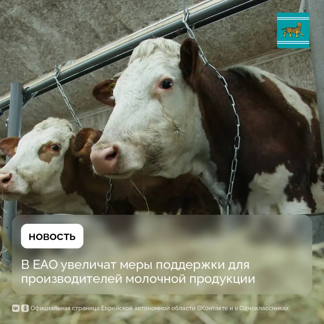 В Законодательном собрании ЕАО поддержали инициативу главы региона Марии Костюк о повышении мер поддержки личных подсобных хозяйств занятых в производстве молока Нормативы субсидирования для таких производителей увеличены почти в два раза с 8 3 до 16 рублей за килограмм продукции Для профильных личных подсобных хозяйств помощь позволит частично компенсировать затраты увереннее планировать работу сохранять и развивать хозяйство Следовательно в ЕАО будет больше своей свежей и качественной молочной продукции Мы последовательно наращиваем меры поддержки сельского хозяйства Наша стратегическая цель увеличить объемы производства чтобы доступных по цене местных продуктов на прилавках становилось больше а область вернула себе статус житницы Дальнего Востока прокомментировала Мария Костюк Подпишись на EAOPlus