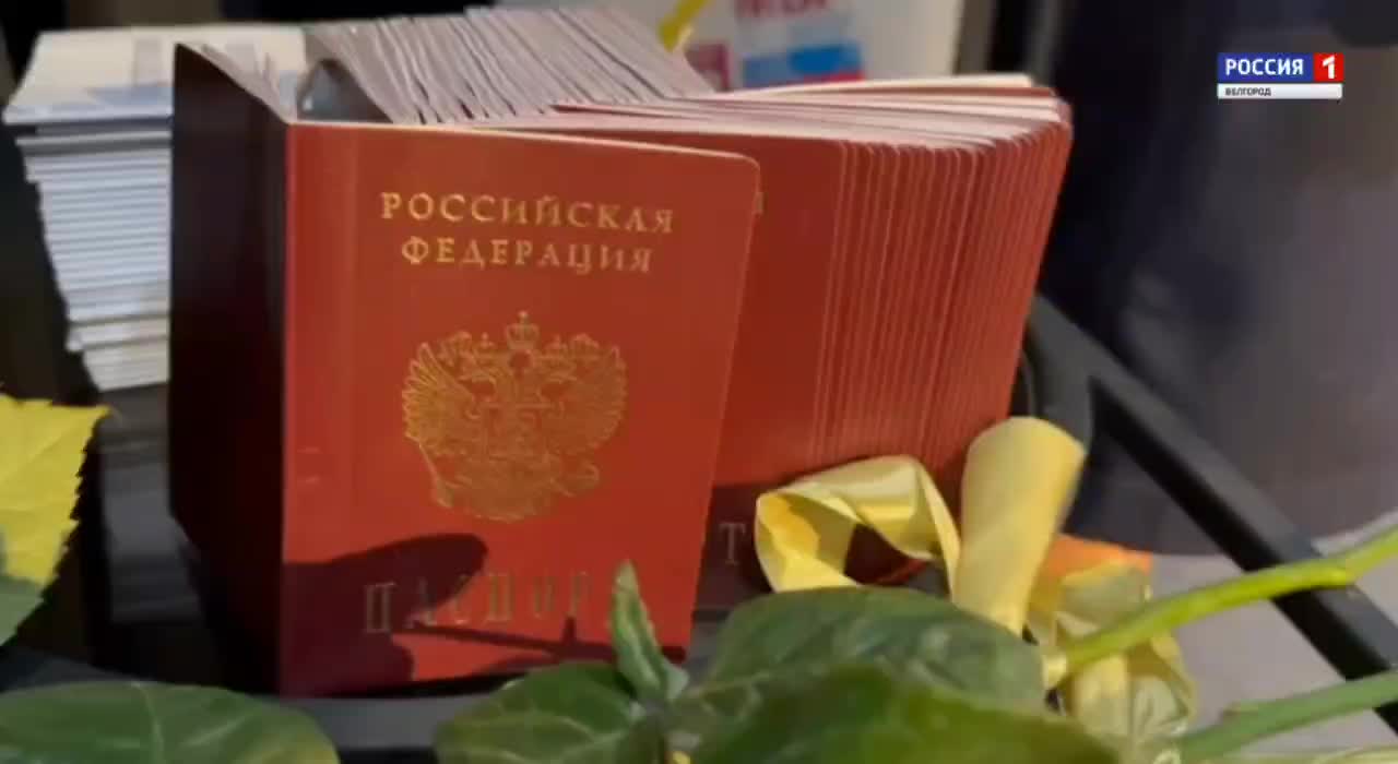 Торжественное вручение паспортов активистам Движения Первых в Новосибирске и Калуге