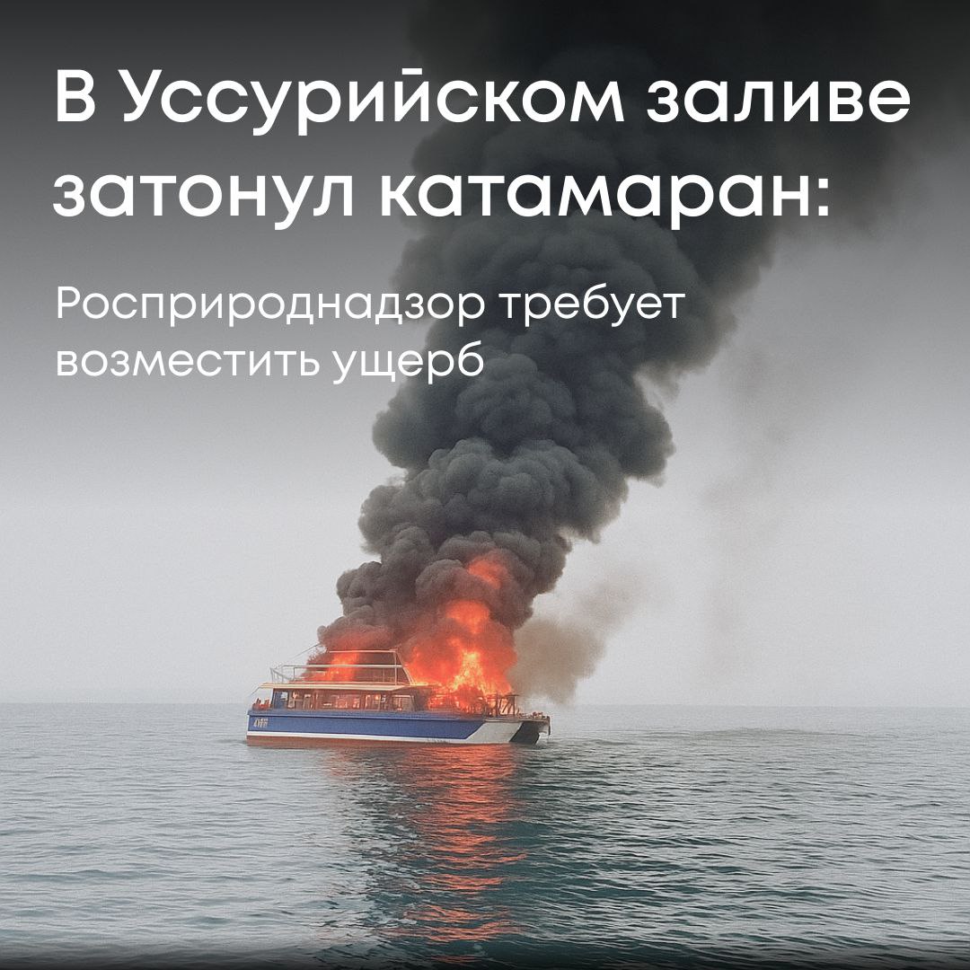 Инспекторы Росприроднадзора провели выездное обследование в районе острова Шкота Уссурийский залив после инцидента с катамараном Мерлион который затонул в результате взрыва и пожара По оценке специалистов Службы ущерб нанесенный водному объекту превысил 1 6 млн рублей Сумма предъявлена виновному лицу для добровольного возмещения Если в течение 30 дней вред не будет компенсирован Росприроднадзор обратится в суд для его принудительного взыскания
