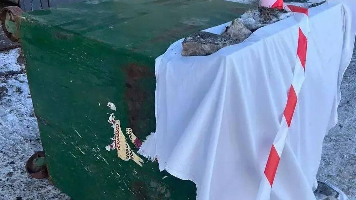 У выкинувшей в мусоропровод младенца девятиклассницы нашли психическое расстройство Как сообщили в СК, девушка скрывала беременность, так как опасалась «осуждения со стороны окружающих». Ночью 12 февраля 2025 года девушка почувствовав боль в животе и сообщила матери о «предполагаемом приступе гастрита». Потом она пошла в туалет, где самостоятельно родила девочку. Школьница поместила новорожденную в пакет и выбросила в мусоропровод. Судебно-медицинская экспертиза установила, что ребенок родился живым, а причиной смерти стало попадание околоплодных вод в дыхательные пути. По результатам судебной психолого-психиатрической экспертизы у девушки диагностировано психическое расстройство. Это «лишало её способности осознавать характер и общественную опасность своих действий и руководить ими». Материалы дела переданы в прокуратуру, после чего их направят в суд для принятия решения о необходимости принудительного лечения школьницы.