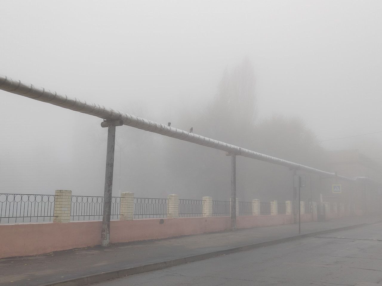 В Саратовской области ожидается туман с ухудшением видимости 500 метров и менее на дорогах гололедица ночью и днем 7 января Участники дорожного движения будьте внимательны и осторожны на дорогах Водители соблюдайте скоростной режим и дистанцию Будьте внимательны при проезде пешеходных переходов Телефон экстренных служб 112 обращается РСЧС Мы в MAX Мы в TG Прислать новость