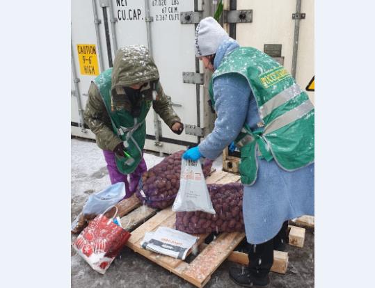 До Камчатки добрались 50 тонн семенного картофеля из Беларуси На Камчатку морским путем прибыла первая за долгие годы импортная партия семенного картофеля — 50 тонн сорта "Манифест" из Беларуси. Вся партия успешно прошла фитосанитарный контроль в специализированной лаборатории. Особенность этой поставки в том, что последний раз семенной картофель импортировали на полуостров еще в 2014 году — из Нидерландов. Новую партию уже ждет фермер из Мильковского округа, где отборные клубни найдут свое место на камчатской земле. Подписаться Прислать Чат