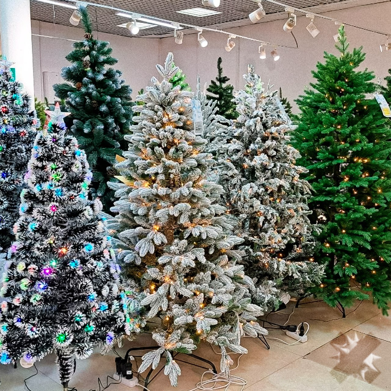 Продавцы искусственных ёлок хотят остановить продажи перед Новым годом Селлеры на маркетплейсах планируют массово убирать ёлки с продажи за две недели до праздника Причина потребительский терроризм покупатели оформляют возврат сразу после Нового года укладываясь в 14 дней Эксперты отмечают что уже с завтрашнего дня ёлки в основном будут продаваться в офлайне или через собственные онлайн магазины продавцов и правильно нет денег не заказывай в чем проблема если ель цела законом это не запрещено НМШ