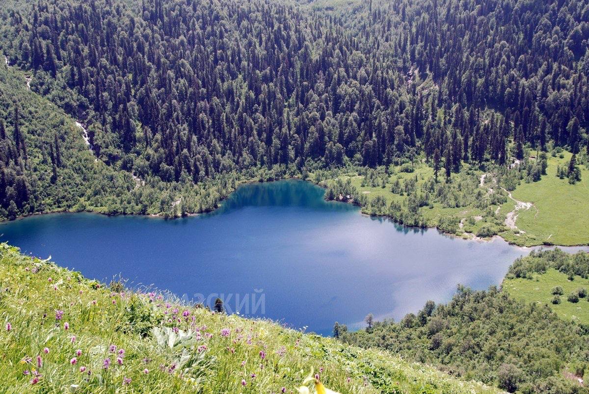 Кавказский заповедник намерен принять около 630 тысяч туристов в 2025 году С начала текущего года особо охраняемую природную территорию федерального значения посетили 249 тысяч туристов. #Туризм
