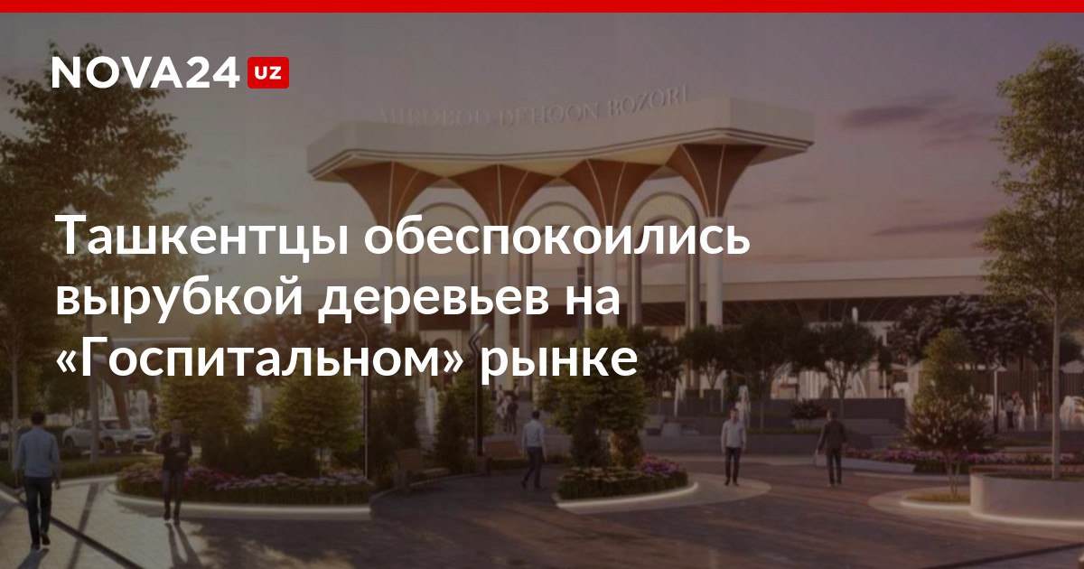 Ташкентцы обеспокоились вырубкой деревьев на Госпитальном рынке Базар оградили забором вместе с зеленой зоной хокимият прокомментировал инцидент nova24 uz 308798 NOVA24 LIVE