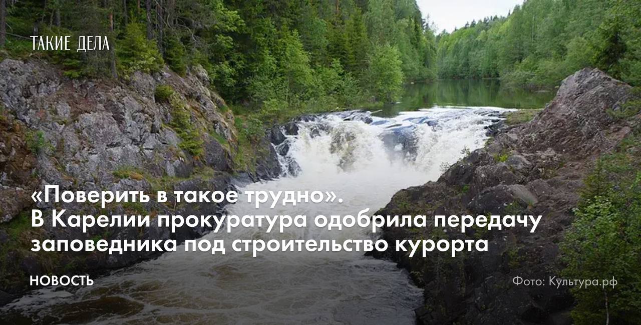 В Карелии прокуратура не нашла нарушений в передаче участков заповедника «Кивач» под строительство горнолыжного курорта «Вереяр». Об этом сообщила депутат регионального Заксобрания Эмилия Слабунова в своем телеграм-канале.   «Прокуратура, видимо, надеется, что столь масштабное строительство не окажет негативного воздействия на окружающую среду на территории реализации проекта. Поверить в такое трудно. Планируем дальнейшие шаги», — написала она.   В ответе ведомства, на который ссылается депутат, сказано, что в действующем законодательстве не запрещено предоставление в аренду участков, расположенных в границах охранных зон, «с целью рекреационной деятельности».   Всего в списке из 157 участков 23 находятся в охранной зоне заповедника «Кивач», 28 — на береговых полосах водных объектов.   Строительство курорта запланировано на 2026 год. Инвестфонд «Спасская губа» собирается вложить в него 21 миллиард рублей.   В декабре 2024 года жители нескольких карельских деревень обратились в Следственный комитет и Генпрокуратуру с просьбой перенести стройку в другое место. Авторы обращения указали, что проект угрожает историческим поселениям коренного малочисленного народа карелов-людиков, заповеднику «Кивач», Мунозеру, марциальным источникам, краснокнижной флоре и фауне, а также государственному лесному фонду.