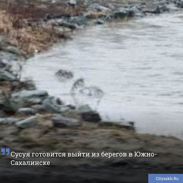 Сегодня утром уровень реки Сусуя в областном центре поднялся до критической отметки. Горожане запечатлели, как вода вышла на пойму, местами затапливая прибрежную полосу.