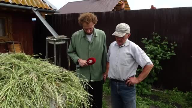 Спасение пчел в Белогорске и расследование гибели пчел в Курской области