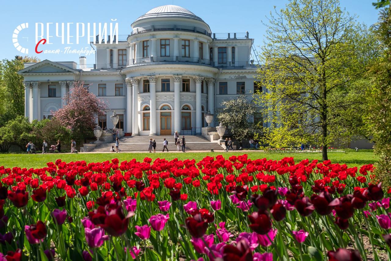 Более 250 тысяч луковиц высадили к Фестивалю тюльпанов на Елагином острове Он начнется 17 мая. В этом году фестиваль посвящен двум датам: 250-летию со дня рождения Карла Ивановича Росси и 300-летию со дня рождения Ивана Перфильевича Елагина, пятого владельца острова, в честь которого он и был назван. В программу войдут музыка у Елагиноостровского дворца, танцы и выставка цветов во дворике Кухонного корпуса. Фото: Олег Золото Вечерний Санкт-Петербург