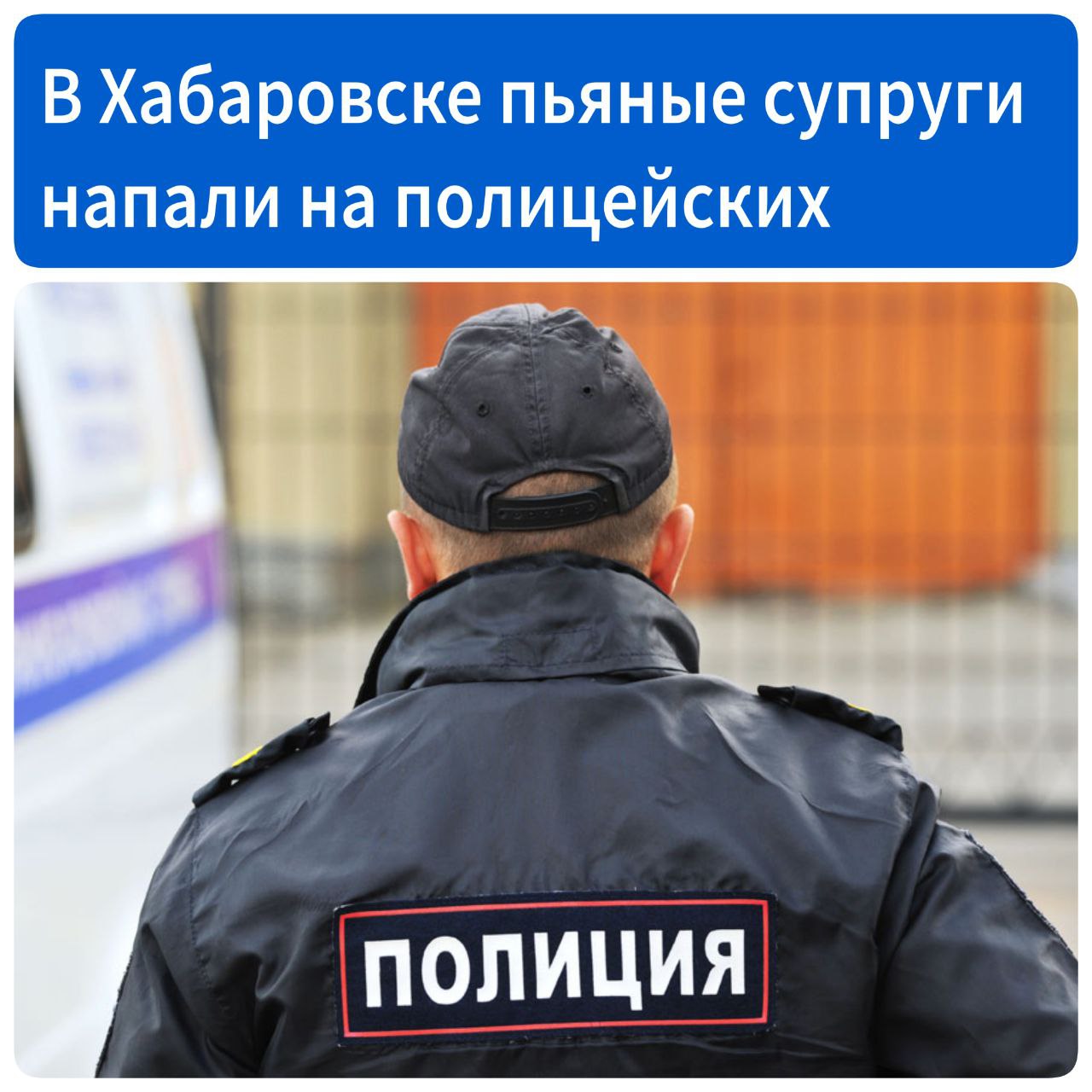 В Хабаровске жители дома на улице Рокоссовского обратились в полицию с жалобой на дебоширящих соседей.  Когда полицейские приехали на вызов, пьяные супруги, на которых поступила жалоба, бросились на них с кулаками.  Вину в нападении они не признали, утверждая, что полицейские и соседи их оговорили.  По данным краевой прокуратуры, суд приговорил мужчину к 2 годам лишения свободы в колонии-поселении, его жену - к 1,5 годам лишения свободы условно.