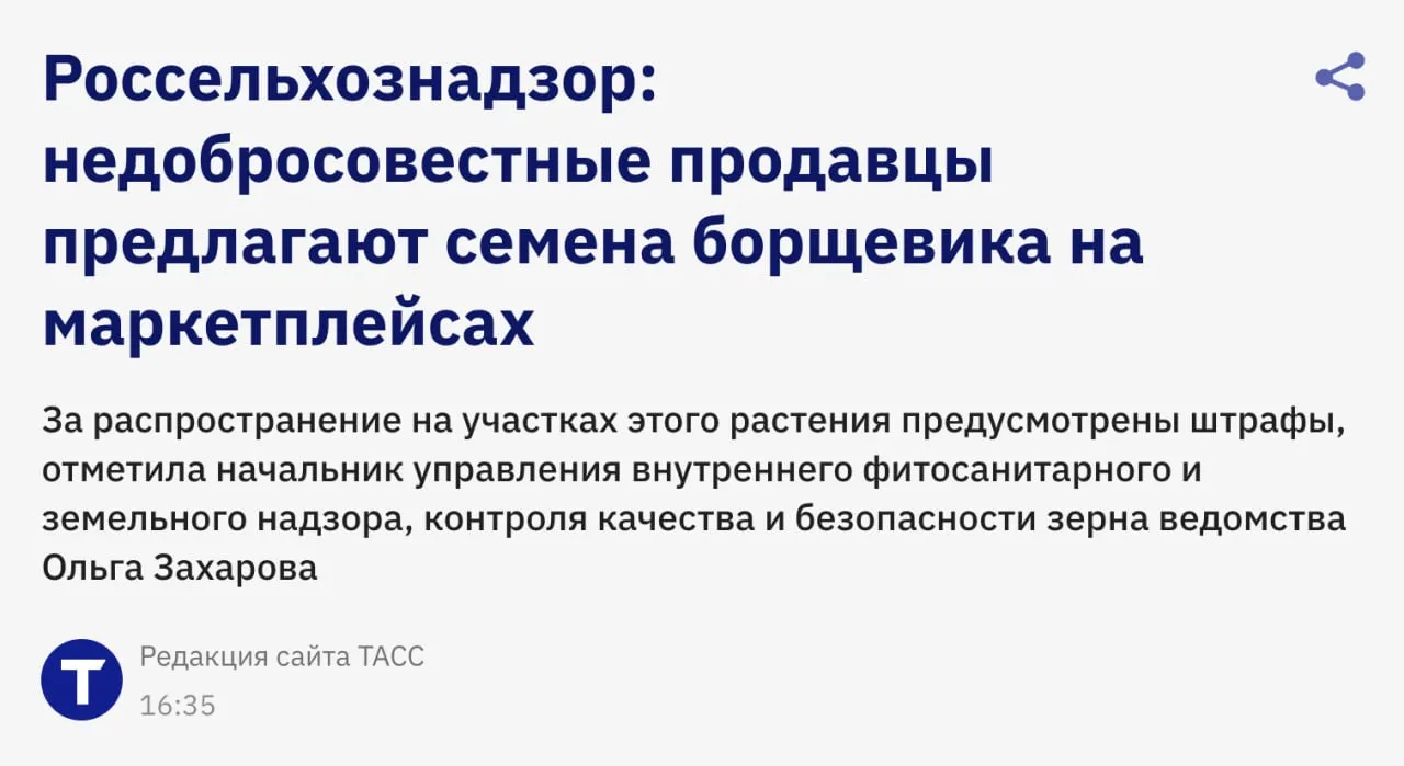 РСХН недобросовестные селлеры продают семена борщевика на маркетплейсах В ведомстве изучили маркетплейсы и нашли в продаже семена инвазивного сорняка борщевика Сосновского Для тех кто не в курсе борщевик запрещено сеять он опасен для человека из за содержания в его соке токсичных соединений которые вызывают фотохимический ожог кожи клуб партнёров
