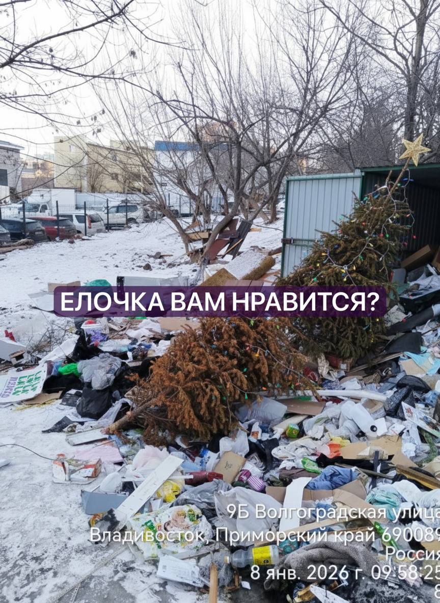 За выброшенную ёлку у контейнера приморцев могут оштрафовать на 3000 рублей После новогодних праздников многие россияне по привычке выносят живые ёлки к мусорным контейнерам Однако такой способ утилизации считается нарушением действующих правил Контейнеры для твёрдых коммунальных отходов предназначены только для обычного бытового мусора образующегося в ходе повседневной жизни Новогодние деревья к этой категории не относятся За выброс ёлки в неположенном месте может грозить штраф до 3000 рублей Правильный вариант сдать дерево в специальный пункт приёма или на переработку если такие площадки работают в городе Подписаться прислать новость