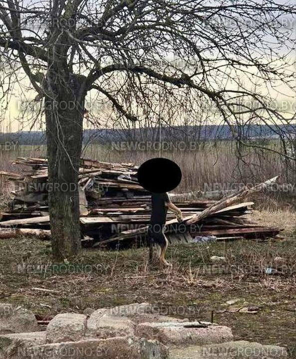 Недавно в Гродно нашли жестоко убитого пса. Живодера нашли — им оказался хозяин животного.   Сказал, что собака гадила дома.      Не открывается ссылка? Попробуйте эту или скачайте наше приложение для Android или iOS.