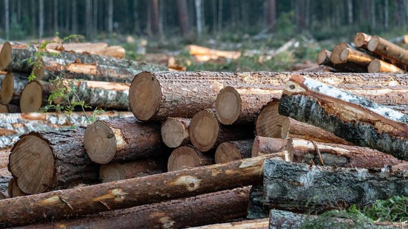 Власти разрешили застройку природных заповедников Комитет Госдумы по экологии рекомендовал к рассмотрению в первом чтении правительственный законопроект разрешающий изменять границы особо охраняемых природных территорий ООПТ Это сделает возможным строительство там железных дорог трасс АЭС и других объектов федерального значения Решение о выделении таких участков из ООПТ будет принимать комиссия из федеральных депутатов чиновников и представителей спецслужб Поправки рождают риски смещения фокуса с охраны природы на коммерциализацию заповедных территорий опасаются опрошенные Ъ юристы   telegra ph Vlasti razreshili zastrojku prirodnyh zapovednikov 12 23