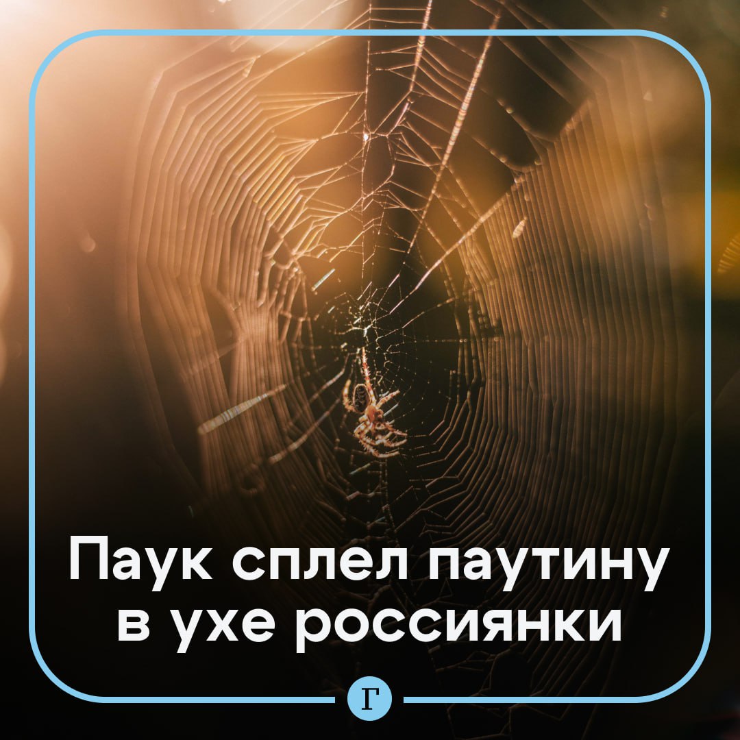 Паук сплел паутину в ухе россиянки.  Жительница Уфы спокойно гуляла у реки, когда ей показалось, что в ухо залетела мошка. Она попробовала вытряхнуть насекомое, но то просто затихло. И казалось, что это была просто неприятная мелочь.  Но через неделю новый обитатель ушной раковины начал вновь активничать, видимо обживаясь. Шуршание даже будило женщину по ночам.  Она обратилась к ЛОРу, и оказалось, что это была не мошка, а маленький паук, который уже успел сплести паутину. Вскоре членистоногое извлекли, а ухо продезинфицировали. Женщине ничего не угрожает.    Фобия № 873…