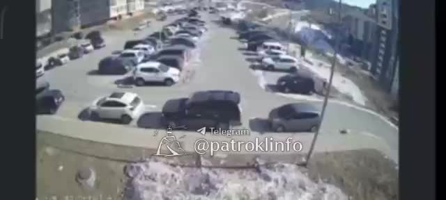 Во Владивостоке бродячие собаки напали на ребенка, но соседи помогли