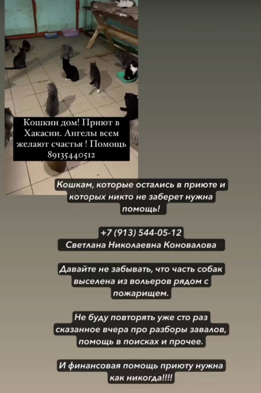 Приют Каштанкин дом нуждается в срочной помощи Хозяйка приюта Светлана Николаевна Коновалова обратилась за помощью и просит добровольцев волонтеров всех кто имеет такую возможность сегодня сейчас приехать в приют на поиски разбежавшихся животных Также после пожара нужна теплая верхняя одежда самой Светлане Николаевне и ее напарнице у которых сгорело абсолютно все Нужны большие теплые зимние куртки размер 50 и больше чтобы все закрывало Теплые штаны размер 46 вязаные носки размеры 40 41 Необходимы валенки или теплые сапоги размеры 40 и 41 Из большого сгорели холодильники большие производственные в которых хранились медикаменты холодильник плита Также нужны матрасы для людей подушки и одеяла Сгорело так же помещение где жили рабочие После холодов нужна будет мужская помощь на разборку завалов и уборку помещения Вести Хакасия в Telegram MAX