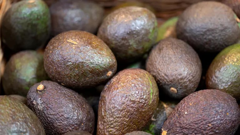 В России появится первое органическое авокадо из Эквадора Роскачество сертифицировало двух производителей органического авокадо из Эквадора Производители Frank Seelig и UyamaFarms прошли процедуру сертификации соответствия органическому производству авокадо в органе по сертификации Роскачество Органик и получили право ввозить свою продукцию как органическую в Россию и маркировать ее знаком Органик гособразца Производитель UyamaFarms начнет первые поставки продукции в Россию на следующей неделе Ранее сертификацию по российскому органическому стандарту прошли зарубежные производители из Грузии Испании Туниса Китая Чили Белоруссии Италии Франции Испании Южно Африканской Республики Словении и других стран По словам заместителя руководителя Роскачества Александра Чумака которые приводятся в сообщении подтверждение соответствия эквадорских производств российскому органическому стандарту знаменует собой дальнейшую интеграцию российского рынка органической продукции в глобальную инфраструктуру развития экологически чистого сектора АПК В свою очередь Роскачество готово обеспечивать сертификацию иностранных производств в соответствии с федеральным законодательством